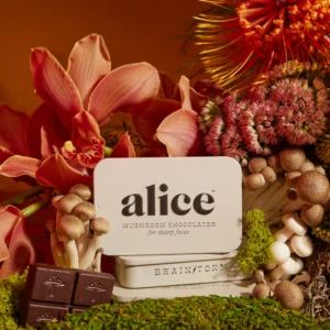 Buy Alice Mushrooms online in Australia